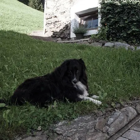 Appartement Reitlhof Wald im Pinzgau