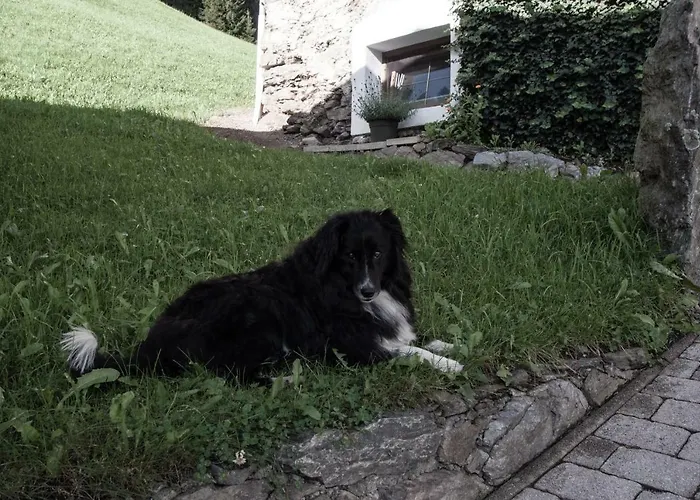 Daire Reitlhof Wald im Pinzgau